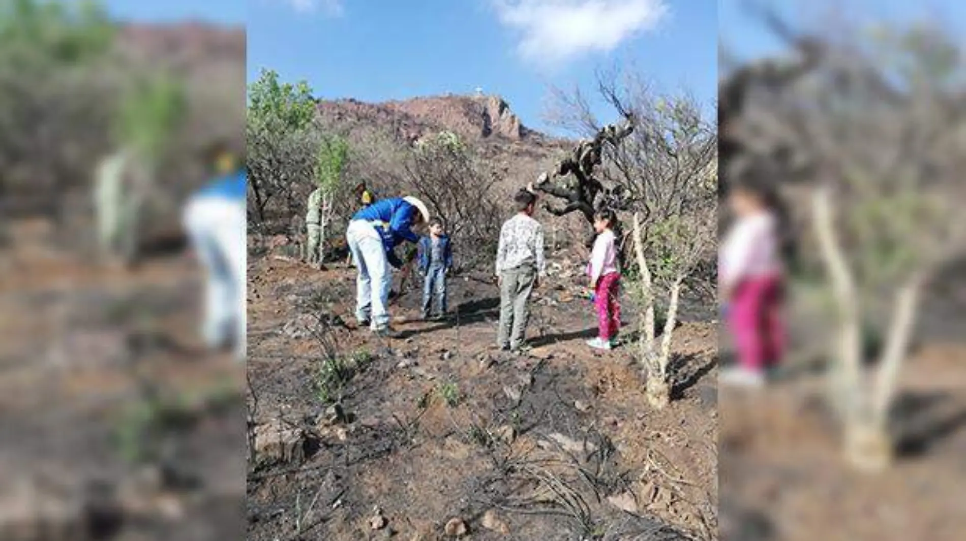 Diversas especies ya se encuentran en las faldas del Cerro de la Venta.  Foto Cortesía.